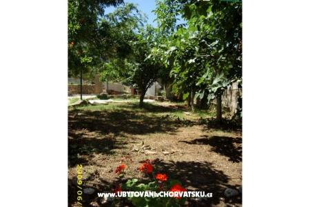 Dom wakacyjny Villa Jadran foto 5