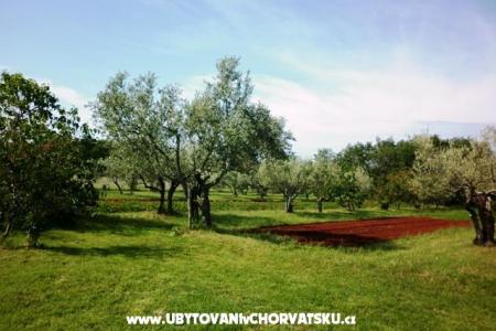 Apartamenty Linda foto 3