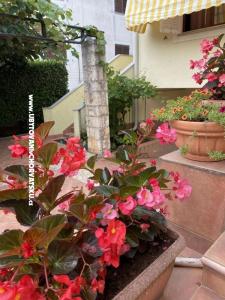 Apartamenty Maris  foto 2
