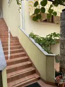 Apartamenty Maris  foto 3