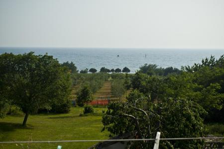 Apartamenty Paradinovic foto 2