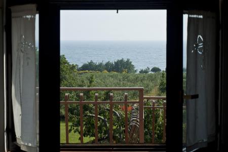 Apartamenty Paradinovic foto 5