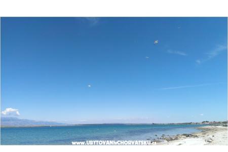 Apartamenty Alma wyspa Vir Chorwacja