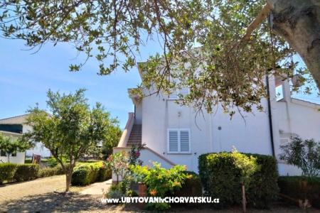 Apartamenty Budija / Viola foto 2