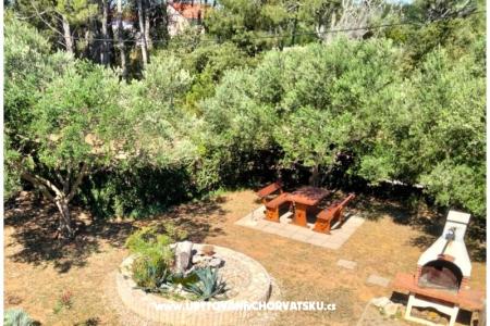 Apartamenty Budija / Viola foto 3