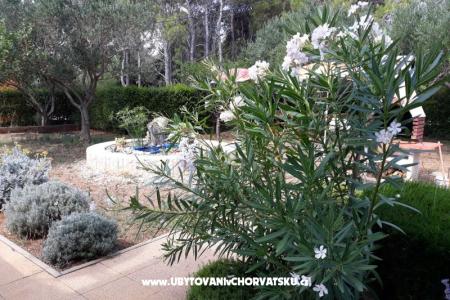 Apartamenty Budija / Viola foto 5