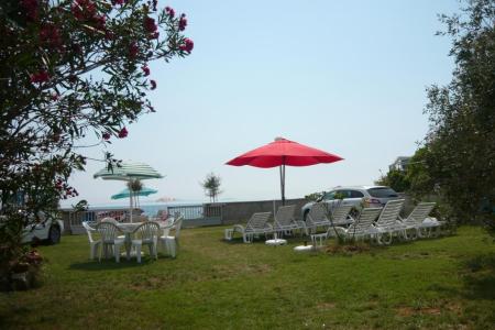 Apartamenty Kovač wyspa Vir Chorwacja