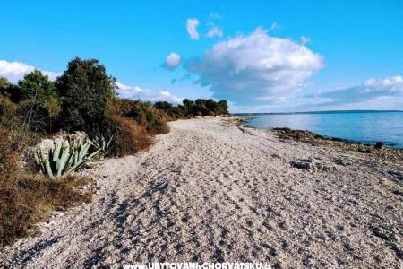 Apartamenty Samanta Vir foto 4
