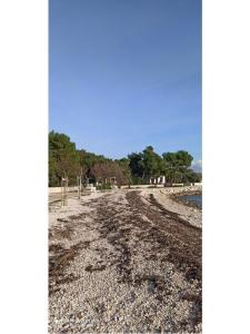Apartamenty Traum wyspa Vir Chorwacja