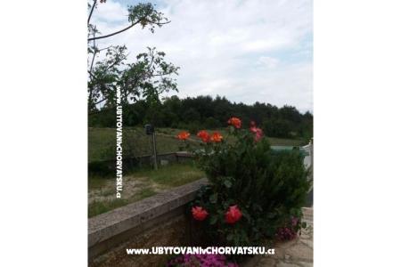 Apartamenty Vlašić foto 5