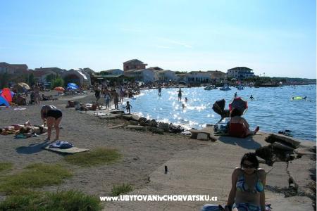 Nerdzana Vestweber foto 3