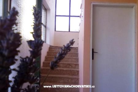 Apartamenty  Smokva   foto 3