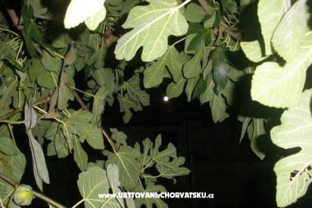 Apartamenty  Smokva   foto 4