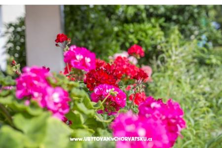 Apartamenty Ines foto 3