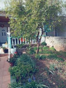 Apartamenty Marijana Alaga foto 4