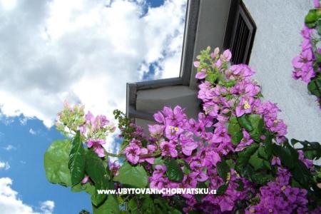 Apartamenty Stanko Vodice foto 2