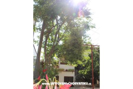 Apartamenty Vitali foto 5