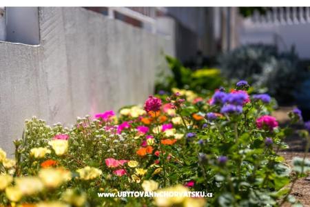 Apartamenty Marko foto 2