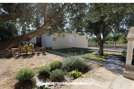 Apartament Radobuljac Vrsi  foto 2