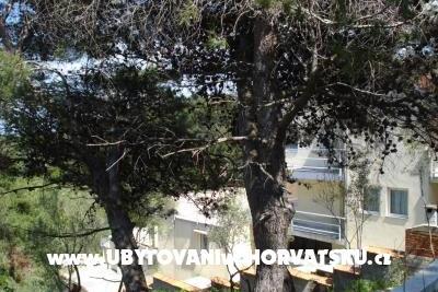 Apartament 10 osoba foto 5