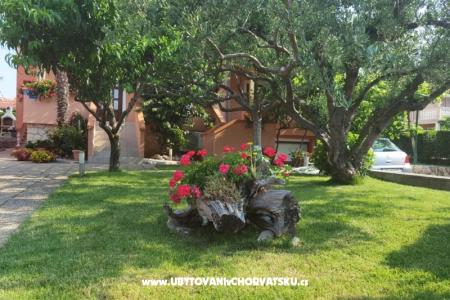 Apartamenty Riva foto 3