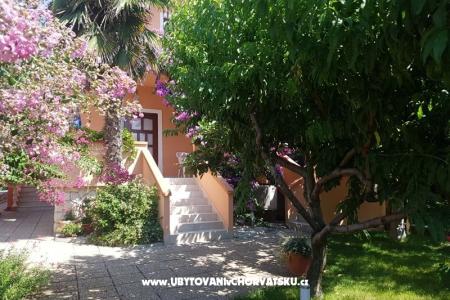 Apartamenty Riva foto 5