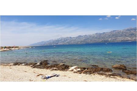 Apartamenty Stojanović foto 3