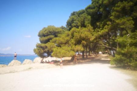 Apartamenty Asea Zadar foto 5
