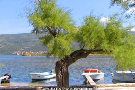 Apartamenty Hudi foto 2