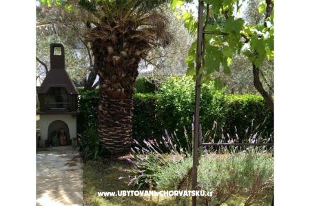 Nevena Apartamenty foto 5