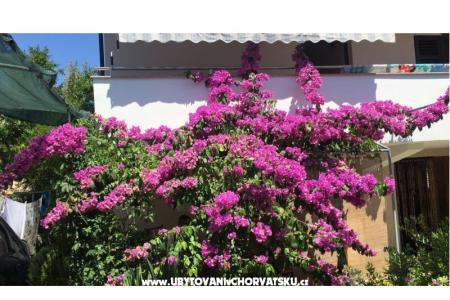 Lucija apartmány foto 2