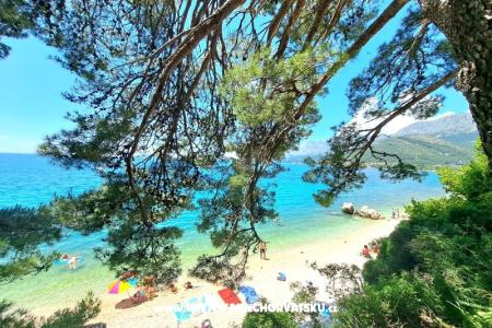 Dom wakacyjny Burmaz - Zaostrog Zaostrog Chorwacja