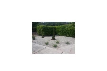 Apartamenty Martina foto 5