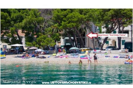 Apartamenty u dvou palem Zivogosce Chorwacja