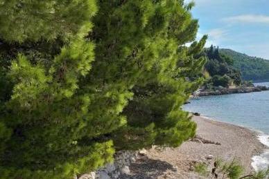 Apartamenty Ena foto 4