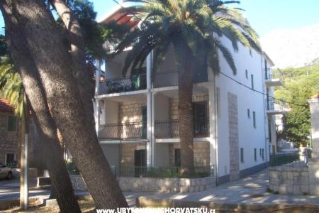 Kod dvije palme Zivogosce Chorwacja