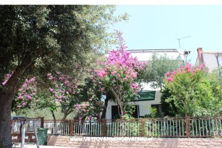 Apartamenty Vila Filipovic foto 2