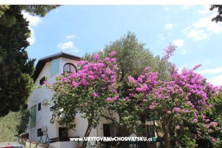 Apartamenty Vila Filipovic foto 3