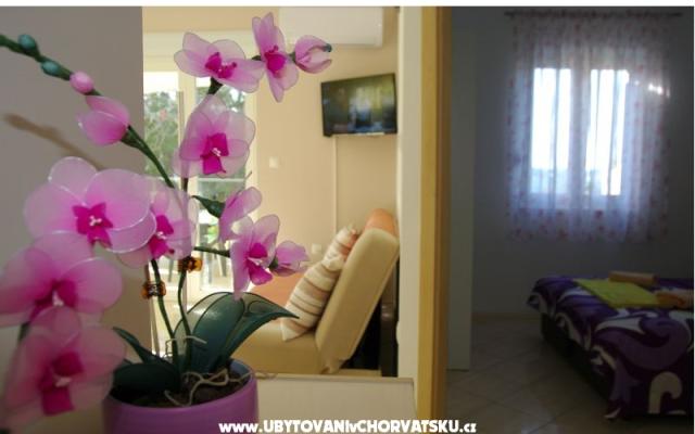Apartamenty Lovre - nocleg Bibinje Chorwacja