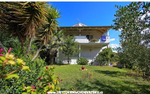 Apartamenty NICOL - nocleg Bibinje Chorwacja