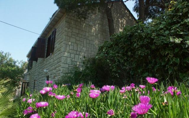 Villa Santa Lucia - nocleg eiland Brac Chorwacja