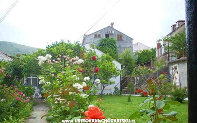 Apartamenty Ivan Š - nocleg Dubrovnik Chorwacja