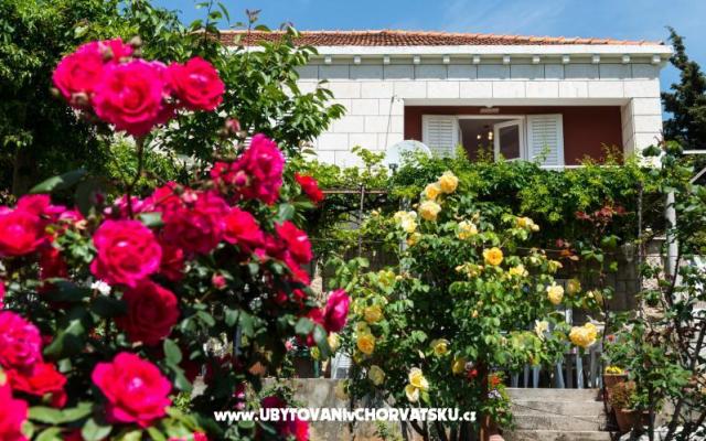 Apartament Melisa**** Dubrovnik - nocleg Dubrovnik Chorwacja