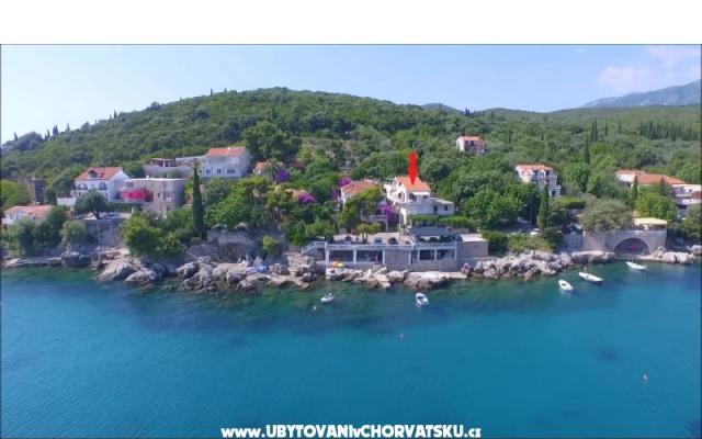 Apartamenty Miovic Molunat - nocleg Dubrovnik Chorwacja