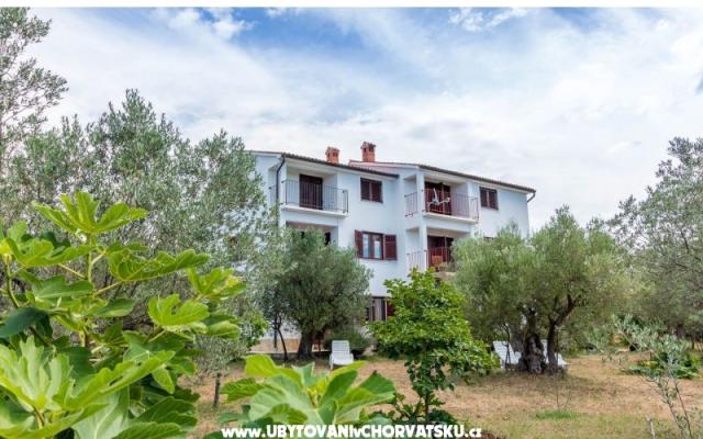 Apartamenty Amalia Fažana - nocleg Fazana Chorwacja