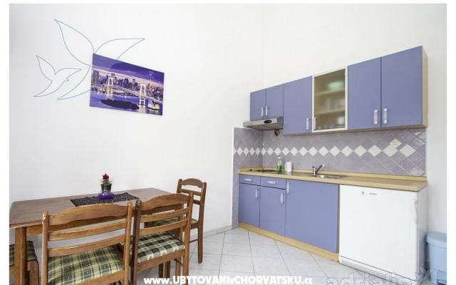 Apartamenty Danijela 1 - nocleg Sv. Filip i Jakov Chorwacja