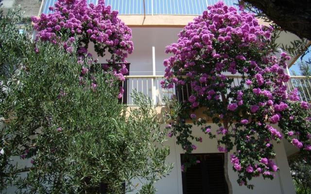 Apartament Gradac Falak - nocleg Gradac – Podaca Chorwacja