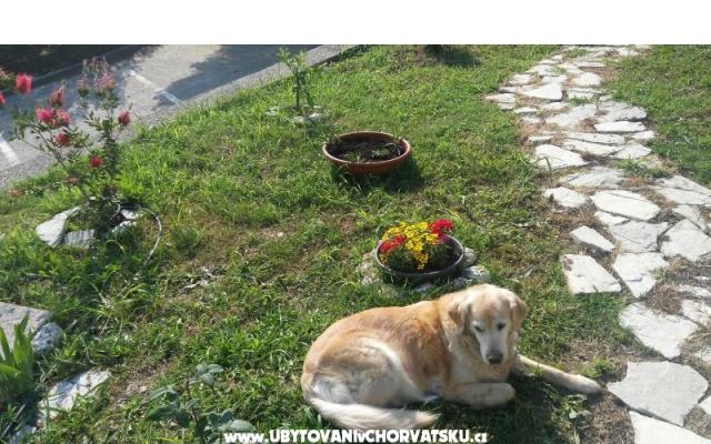 Mini Kemp Podaca - nocleg Gradac – Podaca Chorwacja