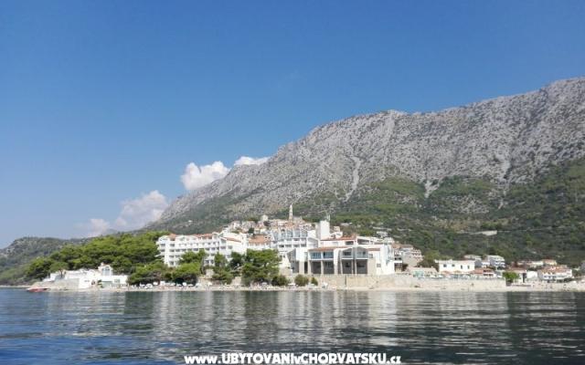 Apartamenty Ribica 1 - nocleg Igrane Chorwacja