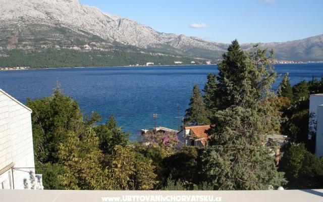Apartamenty Ankica - nocleg Korcula Chorwacja